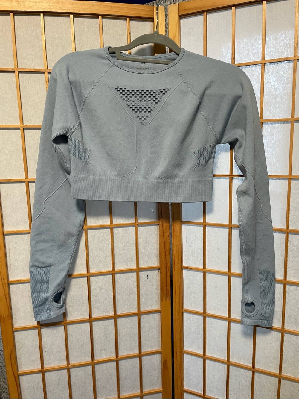 Adore Me Long Sleeve Crop Top